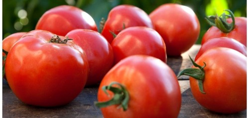 Fresho Tomato - Local, 1 kg