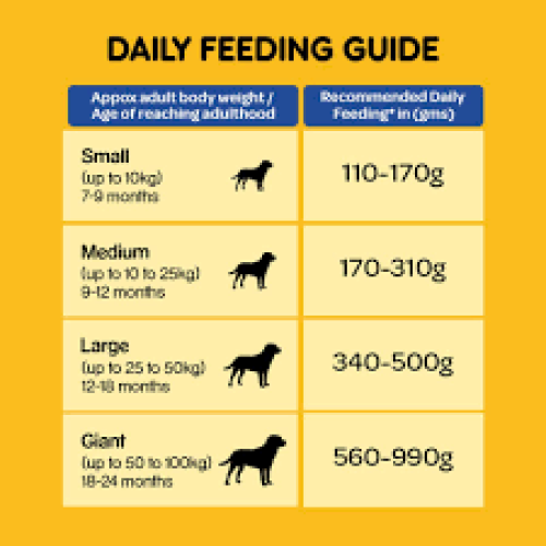 Pedigree Dry Pet Food - For Adult Dogs, Chicken & Vegetables, 3 kg